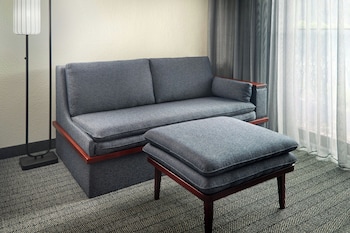 Room, 1 King Bed with Sofa bed (Mobility Accessible, Transfer Shower)