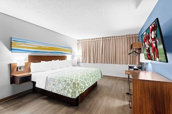 Studio, 1 King Bed, Non Smoking