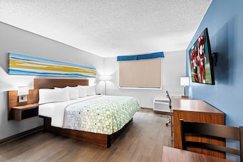 Studio, 1 King Bed, Non Smoking (with Desk)