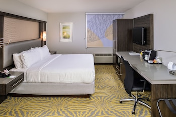 Standard Room, 1 King Bed, Accessible (Mobility, Accessible Tub)