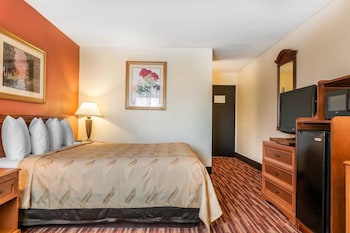 Standard Room, 1 King Bed, Smoking