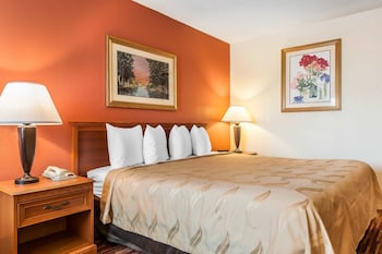 Standard Room, 1 King Bed, Smoking