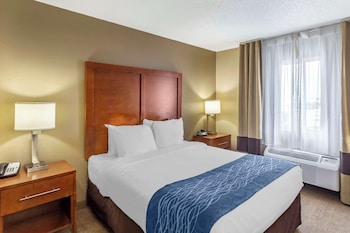 Room, 1 Queen Bed, Non Smoking