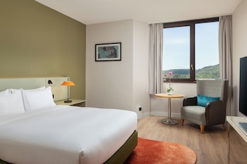 Double Room, 1 Queen Bed