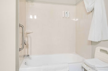 Studio Suite, 1 King Bed, Accessible, Non Smoking (Dog Friendly)