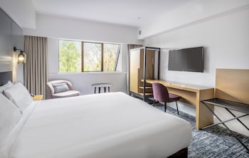 Deluxe Room, 1 King Bed, Non Smoking