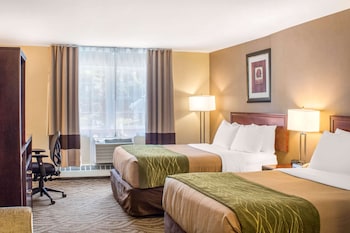 Standard Double Room, 2 Double Beds, Non Smoking