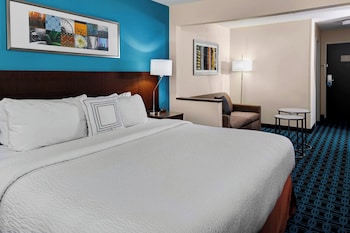 Room, 1 King Bed with Sofa bed