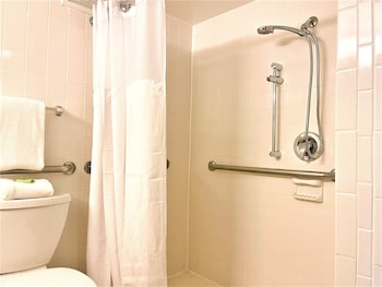 Room, 1 Queen Bed, Non Smoking (Step-In Shower)