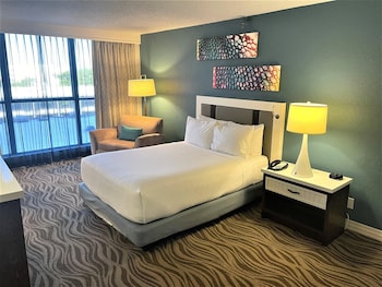Room, 1 Queen Bed, Non Smoking (Step-In Shower)