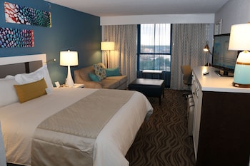 Room, 1 King Bed, Non Smoking