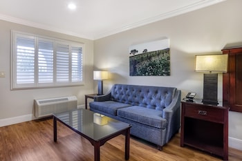 Deluxe Room (1 King)