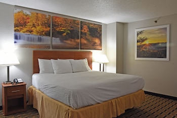 Room, 1 King Bed, Accessible, Non Smoking (Mobility Accessible)