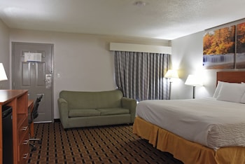 Room, 1 King Bed, Accessible, Non Smoking (Mobility Accessible)