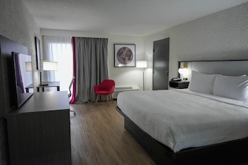 Room, 1 King Bed, Non Smoking
