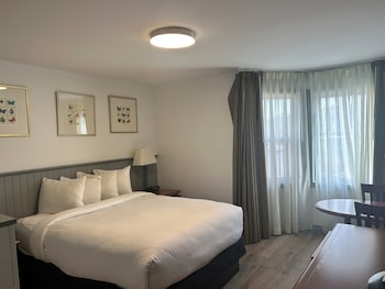 Renovated 1 Queen Bed Studio - Conference Centre