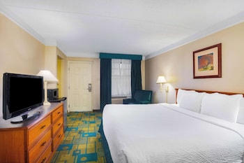 Room, 1 King Bed, Non Smoking (Tub with Grab Bars)