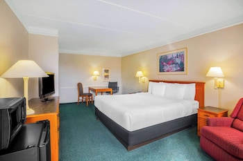 Room, 1 King Bed, Non Smoking (Tub with Grab Bars)