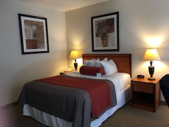 Standard Room, 1 Queen Bed (Mobility Roll-in Shower)