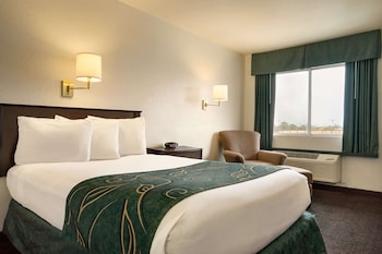 Room, 1 Bed, Accessible, Non Smoking