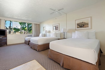 Room, Poolside (Three Beds)