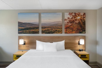 Room, 1 King Bed, Smoking