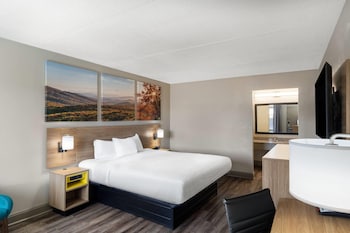 Room, 1 King Bed, Smoking
