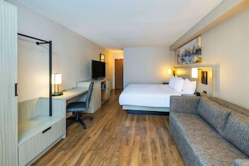 Comfort Care, Room, 1 King Bed with Sofa bed, Non Smoking