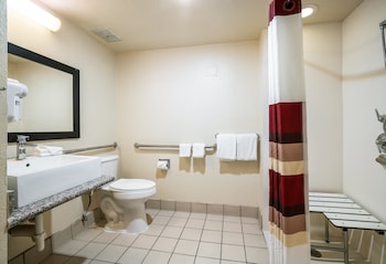 Deluxe Room, 1 King Bed, Accessible, Non Smoking