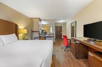 Room, 1 King Bed, Roll-in Shower