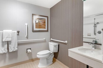Room, 1 King Bed, Roll-in Shower, Non Smoking