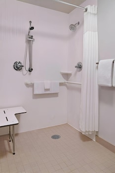 Room, 1 King Bed, Roll-in Shower, Non Smoking