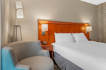 Room, 1 King Bed, Roll-in Shower, Non Smoking