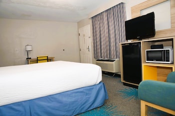 Room, 1 King Bed, Refrigerator & Microwave