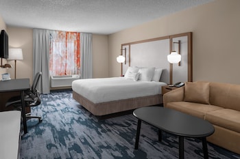 Executive Studio, 1 King Bed with Sofa bed