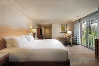 Grand Room, 1 King Bed
