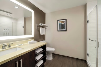 Deluxe Room, 1 King Bed with Sofa bed, Roll-in Shower