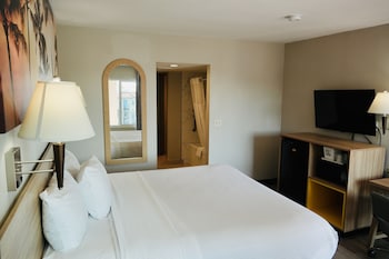 Room, 1 King Bed, Non Smoking