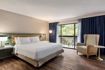 Junior Suite, 1 King Bed, Accessible, Pool View (Bathtub)