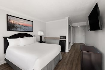 Room, 1 Queen Bed, Roll-in Shower