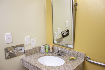 Room, 1 Queen Bed, Roll-in Shower