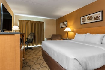 Standard Room, 1 King Bed
