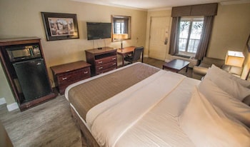 Room, 1 King Bed, Non Smoking