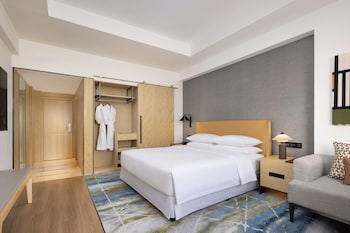 Room, 1 King Bed