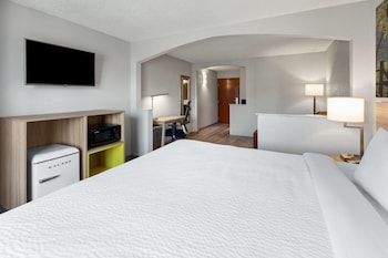 Deluxe Room, 1 King Bed, Non Smoking
