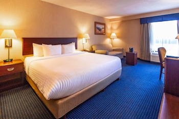 Room, 1 King Bed, Non Smoking (Spacious Room)