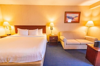 Room, 1 King Bed, Non Smoking (Spacious Room)