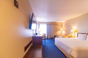 Business Room, 1 King Bed, Non Smoking