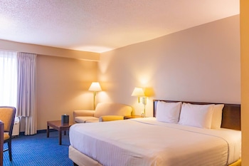 Business Room, 1 King Bed, Non Smoking