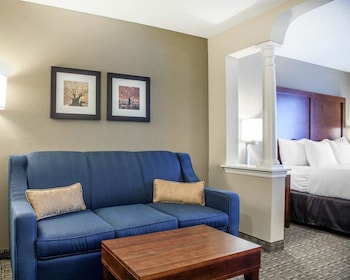 Business Studio Suite, 1 King Bed with Sofa Bed